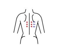 膈兪・肝兪・脾兪・経穴｜鎌ケ谷・松戸・船橋