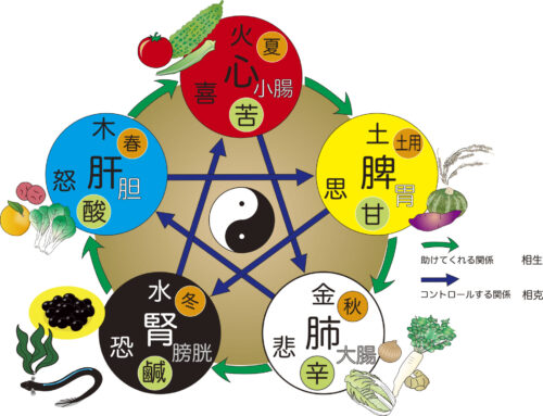 東洋医学を日常に・写真1