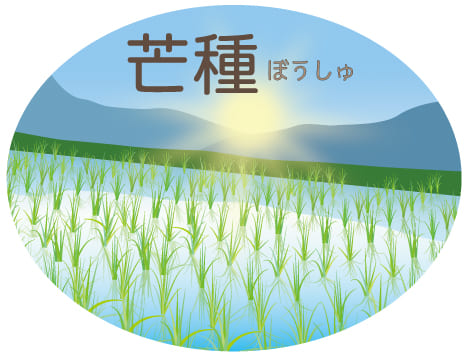 芒種の健康法・写真1