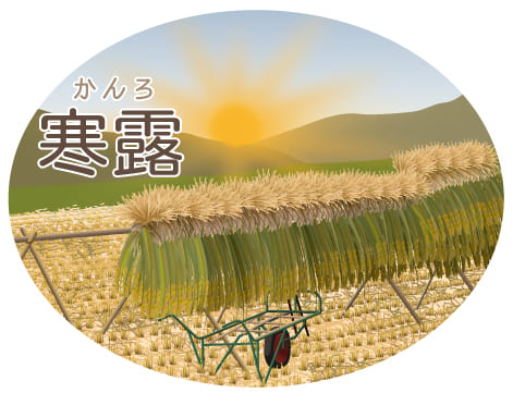 寒露の健康法・写真1