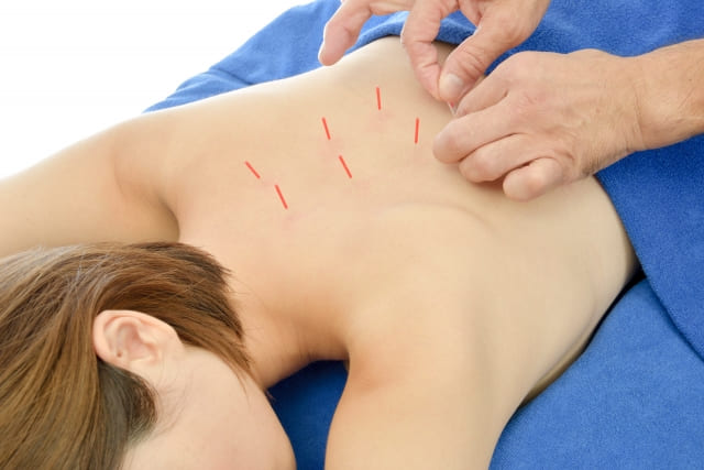 気血水への効き方・写真1