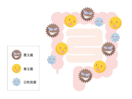 腸内環境の乱れの鍼灸・写真1