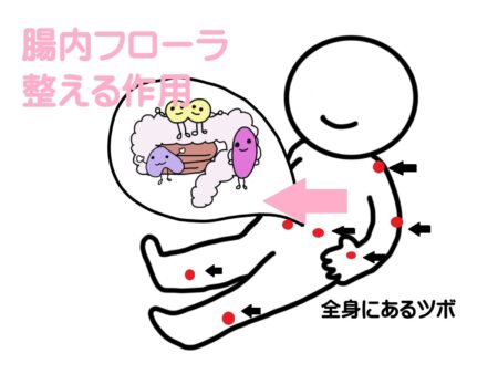 腸内環境の乱れの鍼灸・写真3