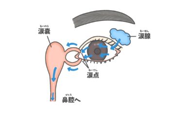 ドライアイに効くツボ・写真3