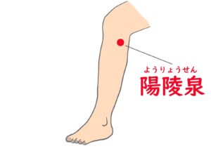 陽陵泉ツボ