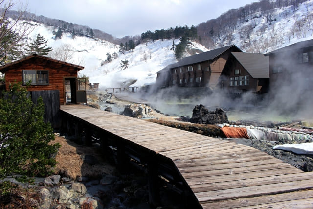 鍼灸とホルミシス効果・写真2