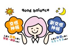 自律神経・イラスト