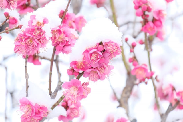 2月の養生法・写真2
