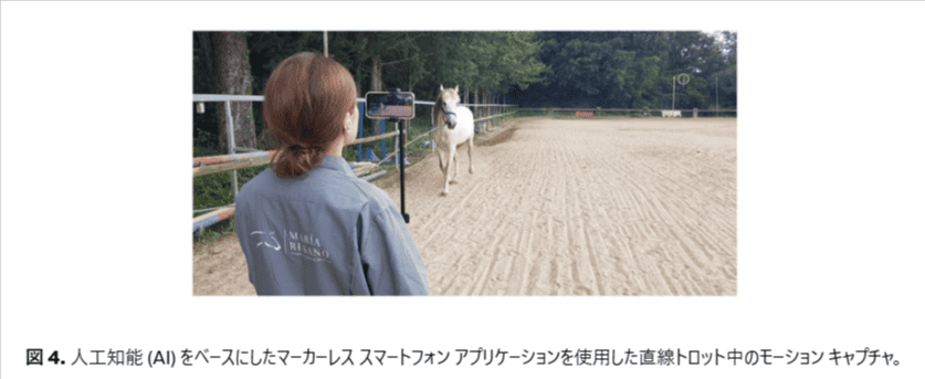 馬への鍼｜論文・写真4