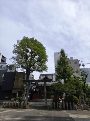 江島杉山神社の境内1