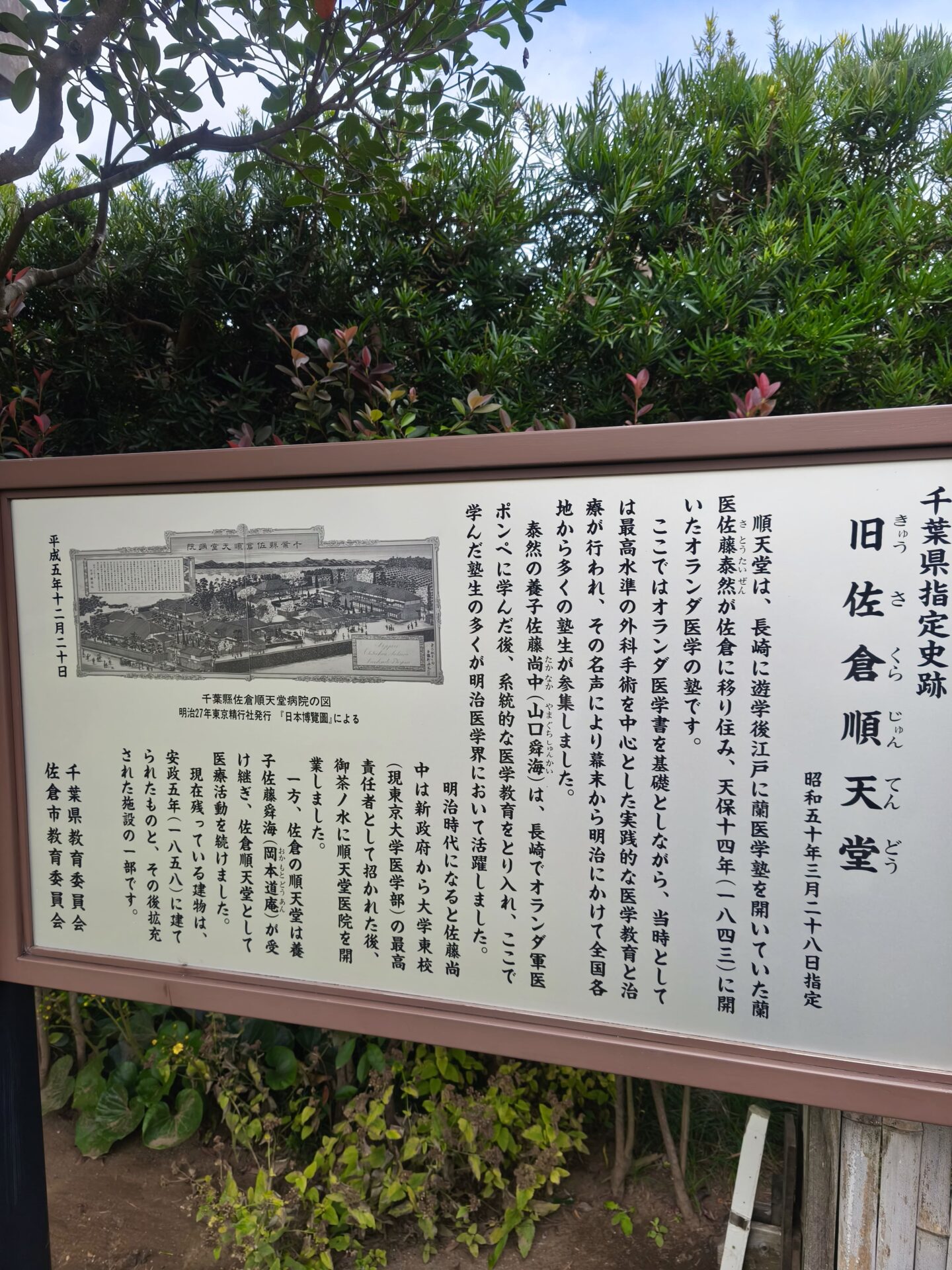 佐倉順天堂記念館・写真7